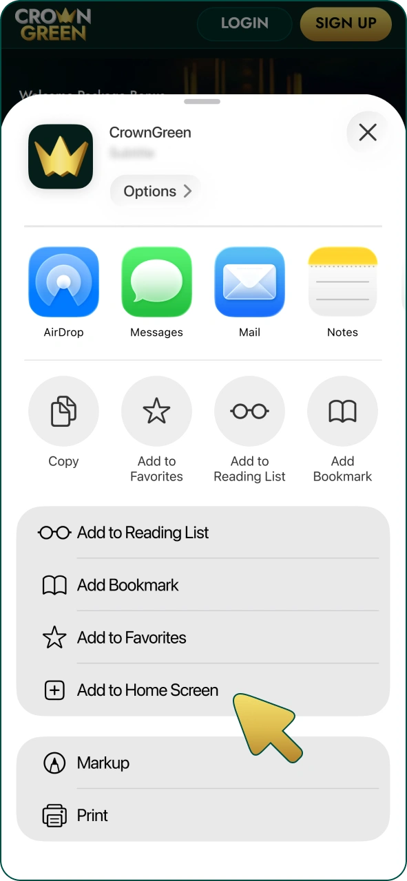 Select this option for Crowngreen iOS PWA app.